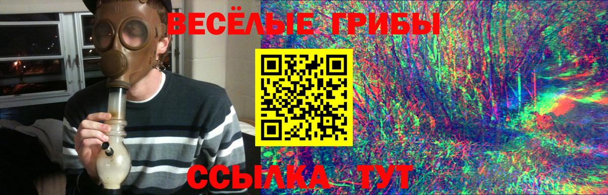 Лесозаводск  Псилоцибиновые грибы ЛСД  Вход с VPN 