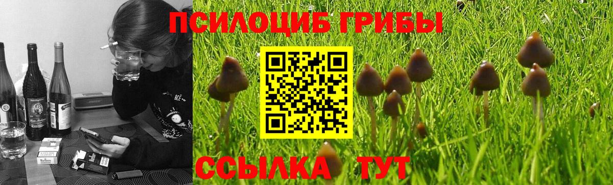 Псилоцибиновые грибы ЛСД Лесозаводск